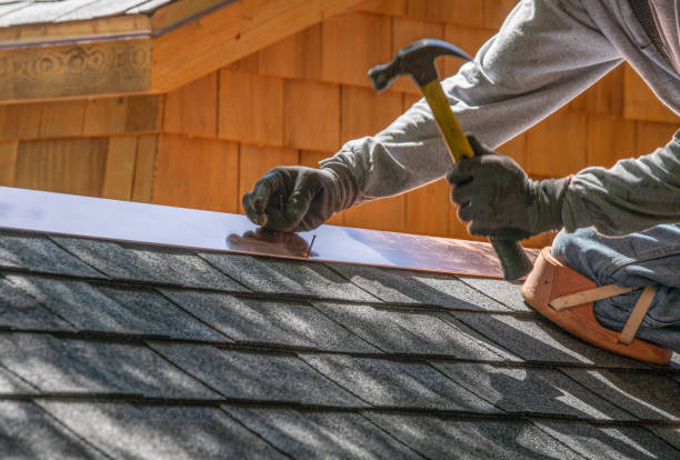 Best Roof Coating and Sealing  in Ada, MN